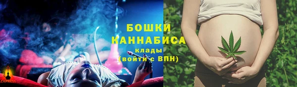 тгк Бородино