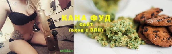 тгк Бородино