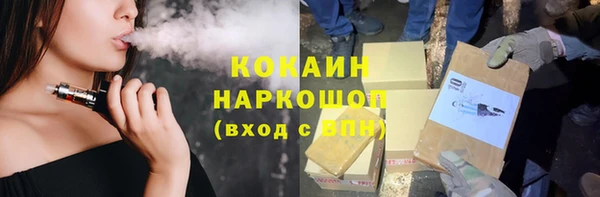 тгк Бородино