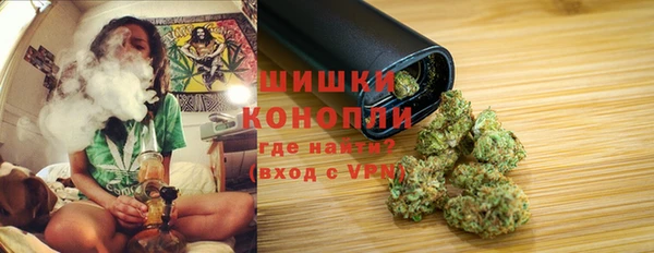 тгк Бородино