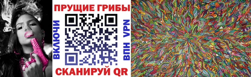 закладки Ефремов Псилоцибиновые грибы GOLDEN TEACHER