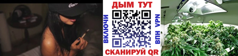 Бошки марихуана AK-47  mega сайт  Ефремов  где найти наркотики 